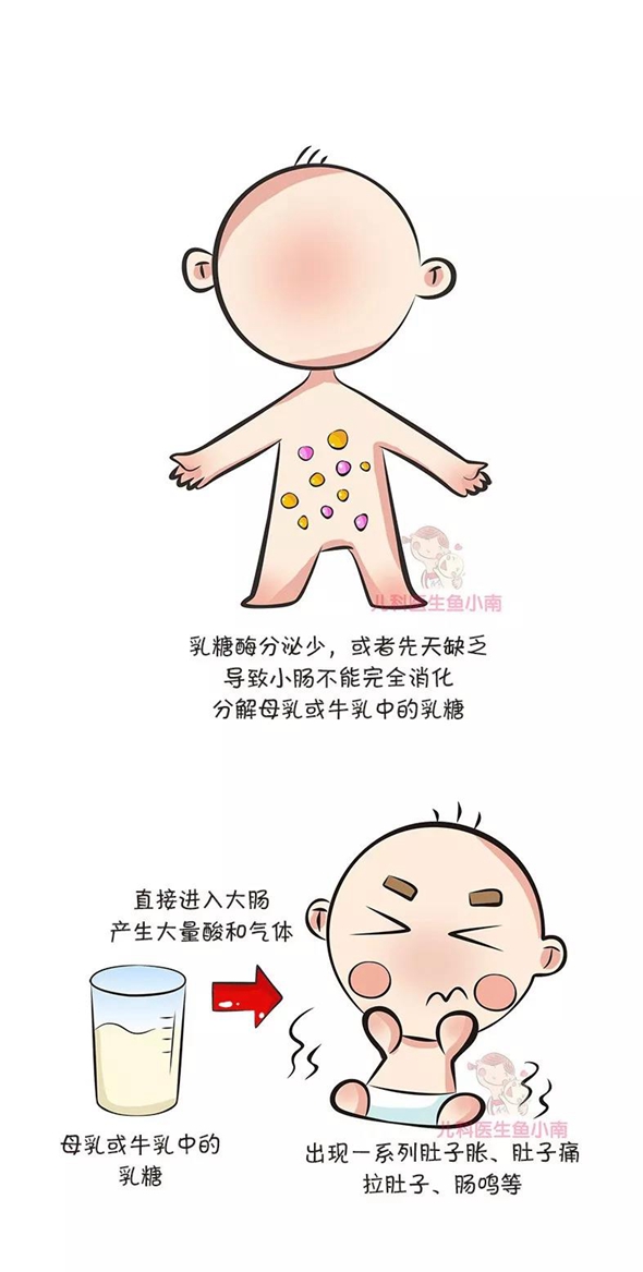 宝宝老是腹泻?小心是乳糖不耐受
