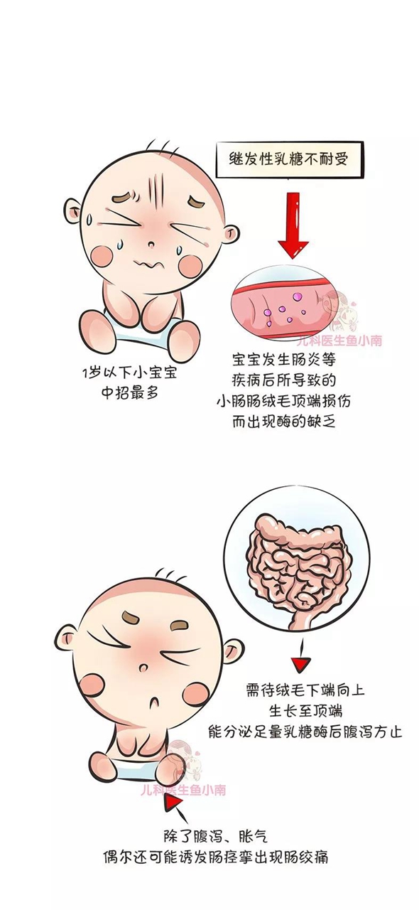宝宝老是腹泻?小心是乳糖不耐受