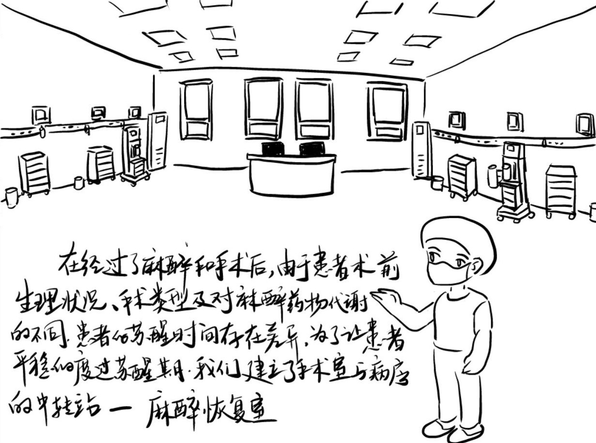 图片12（裁剪）.jpg