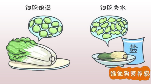 微信图片_20180418145904.jpg