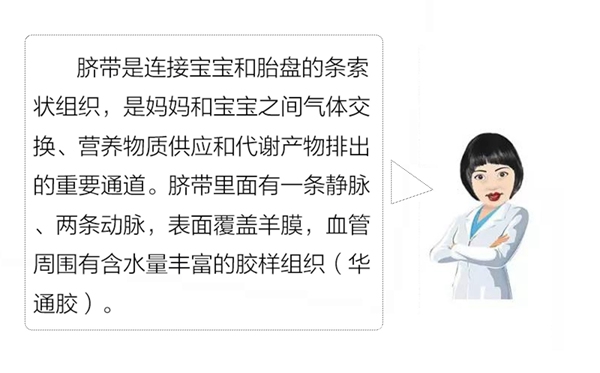 脐带_03.jpg