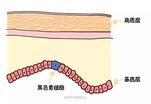 微信图片_201805162148313.jpg