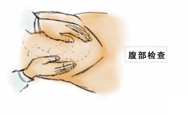 8.jpg 8.jpg
