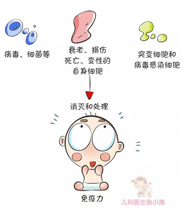 2_副本.jpg 2_副本.jpg