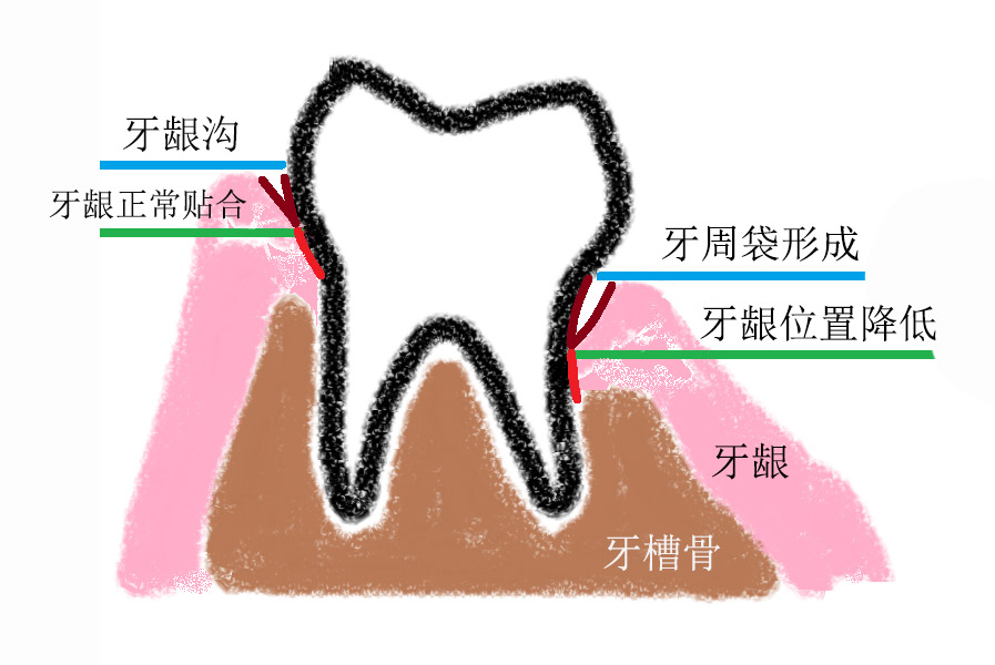 微信图片_20181122100420.jpg