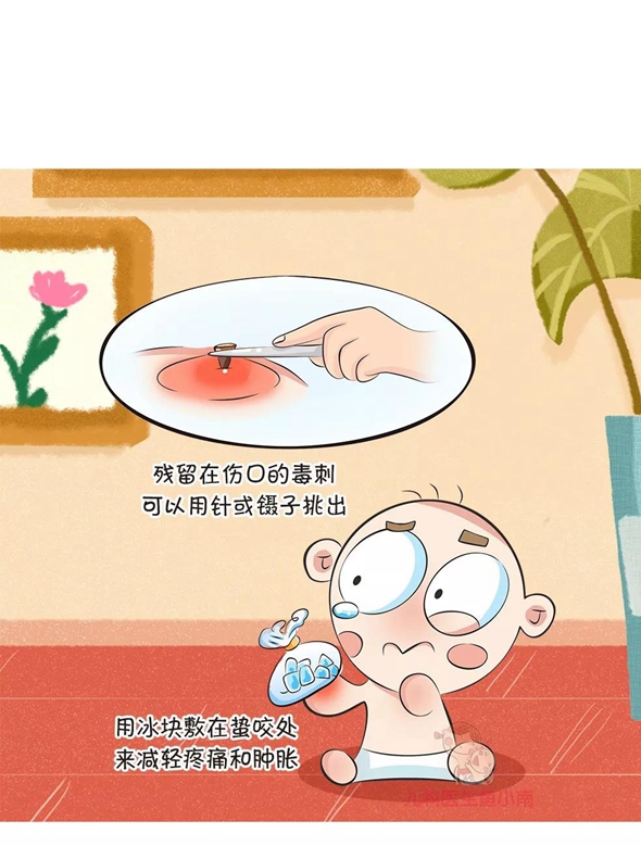 被蜂蛰严重会致死学此篇领会可救命